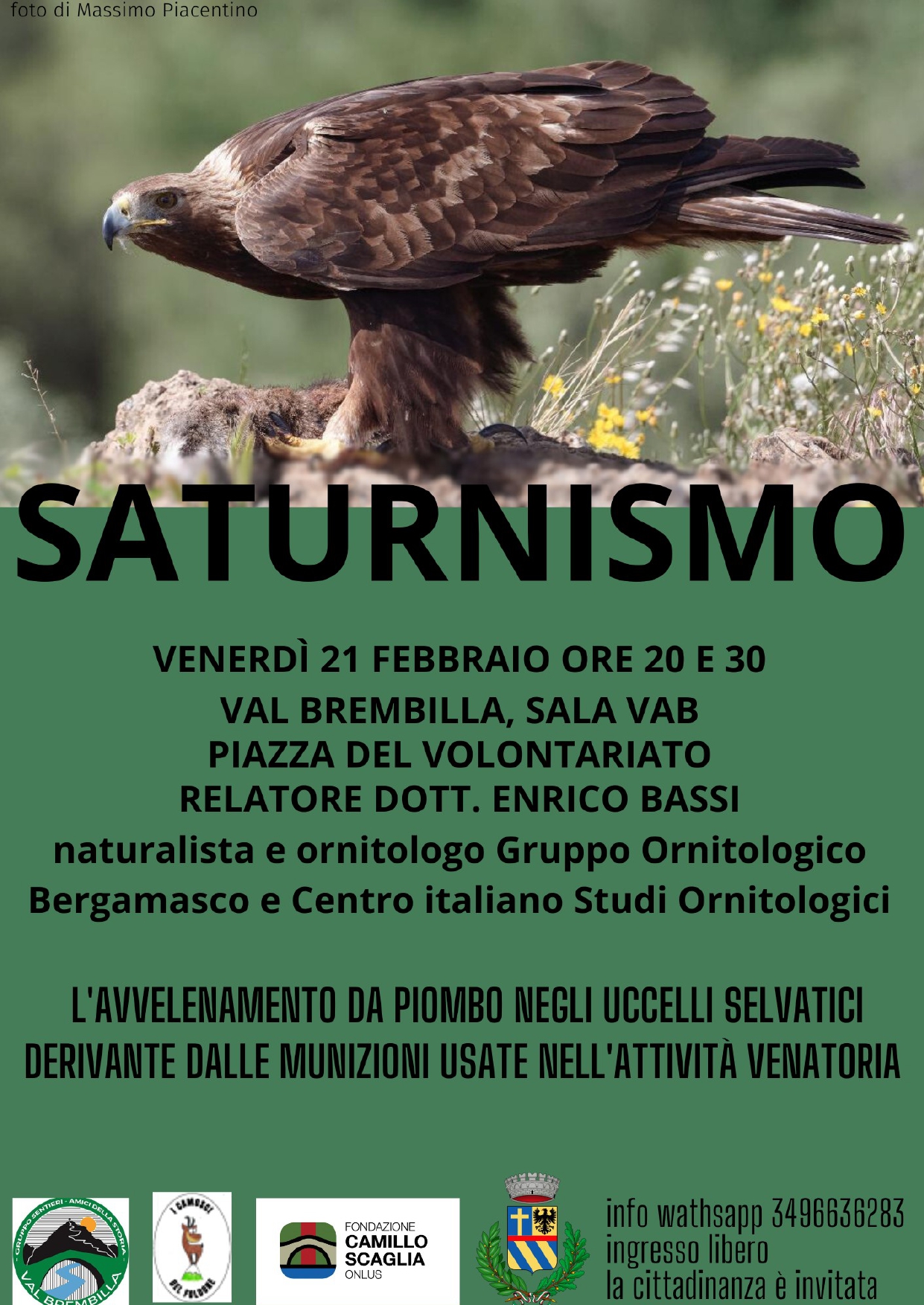 Conferenza: saturnismo – ’avvelenamento da piombo negli uccelli selvat