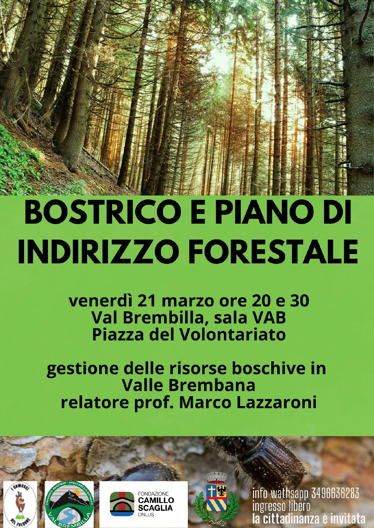 Conferenza: bostrico e piano di indirizzo forestale